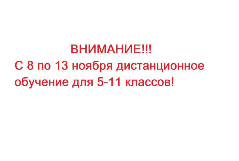 ﻿С 8 по 13 ноября дистанционное обучение для 5-11 классов!